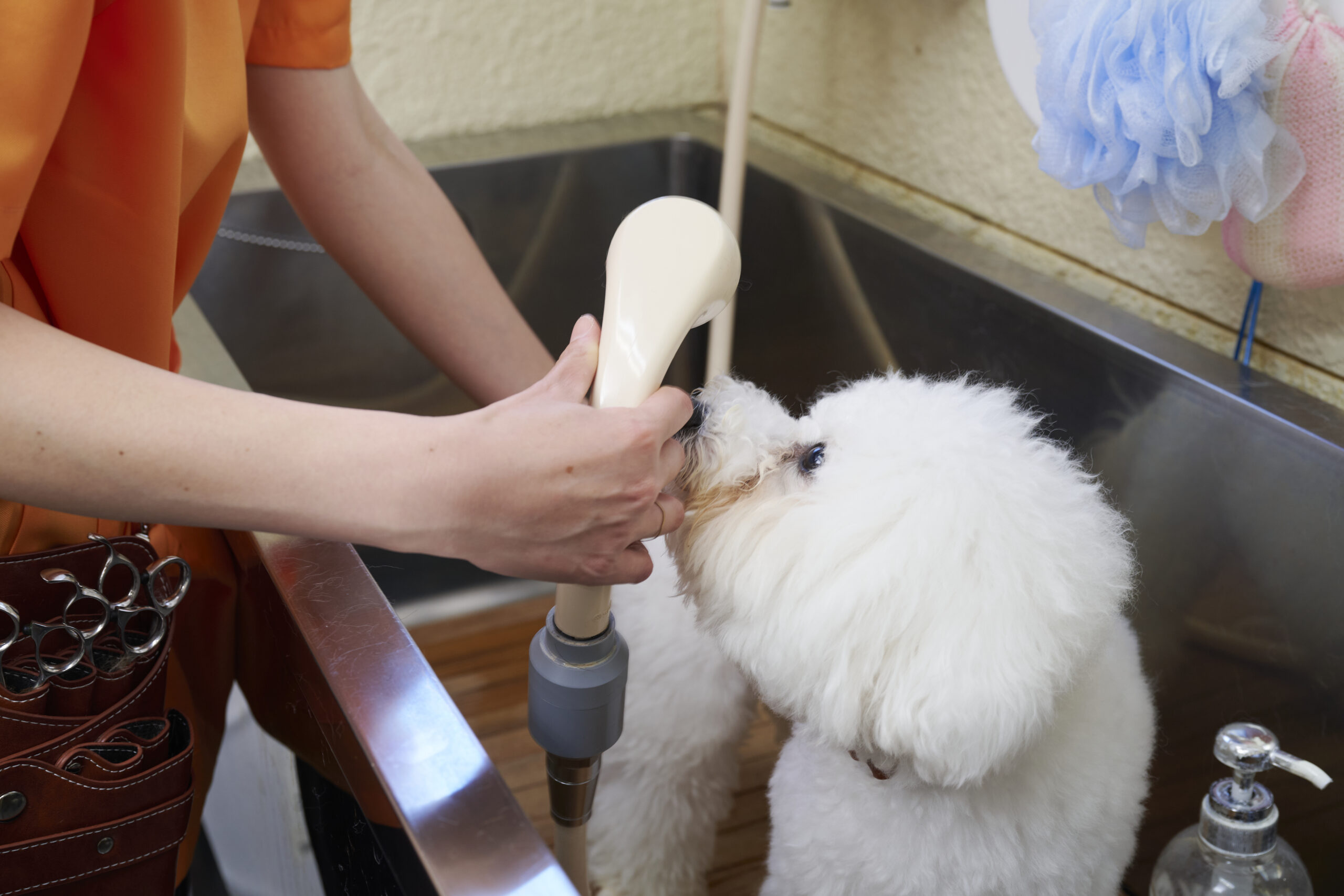 鴨川動物病院photo