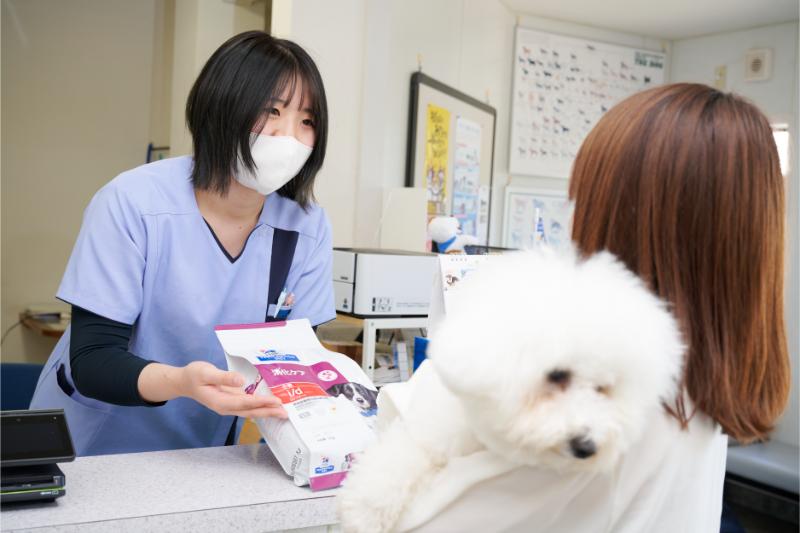 鴨川動物病院photo