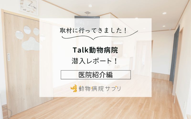 Talk動物病院photo