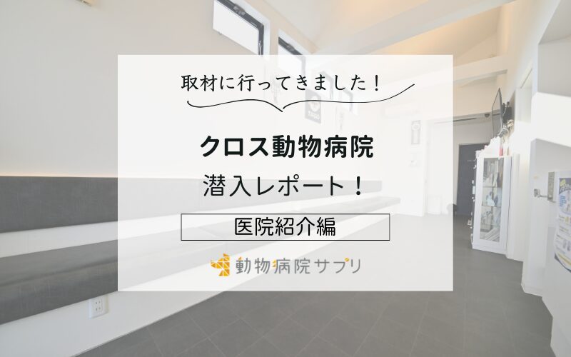 クロス動物病院photo