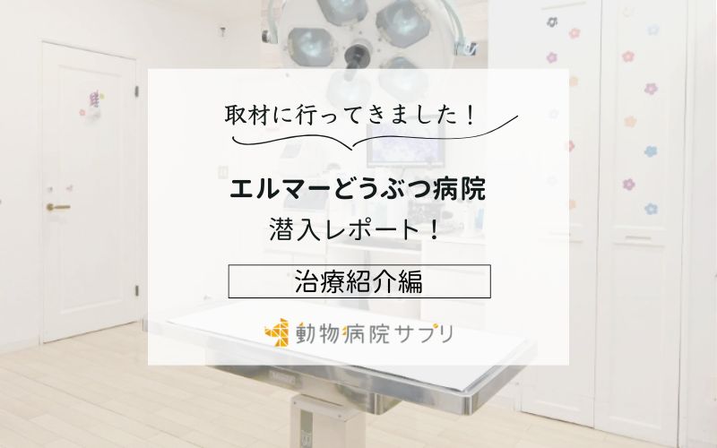 エルマーどうぶつ病院photo
