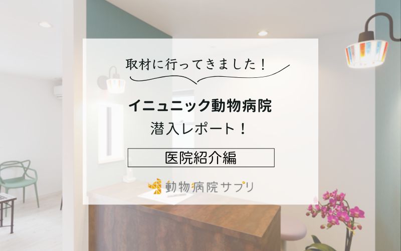 イニュニック動物病院photo