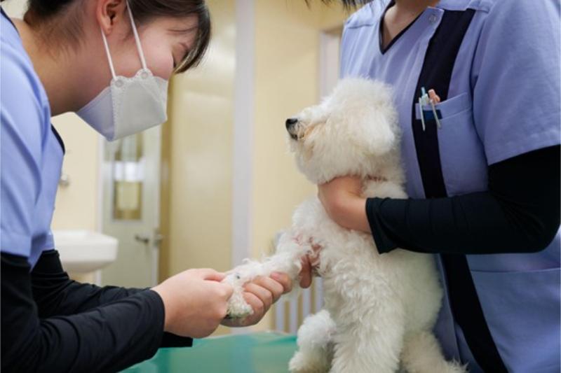 鴨川動物病院photo