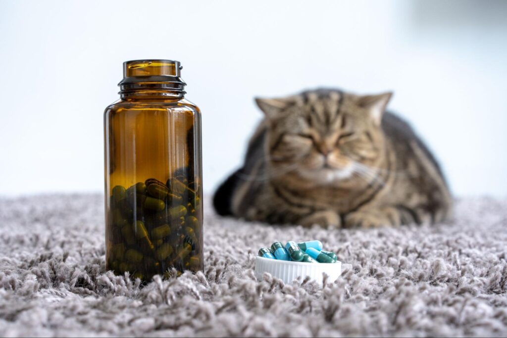 FIPの治療における未承認薬の位置づけ
