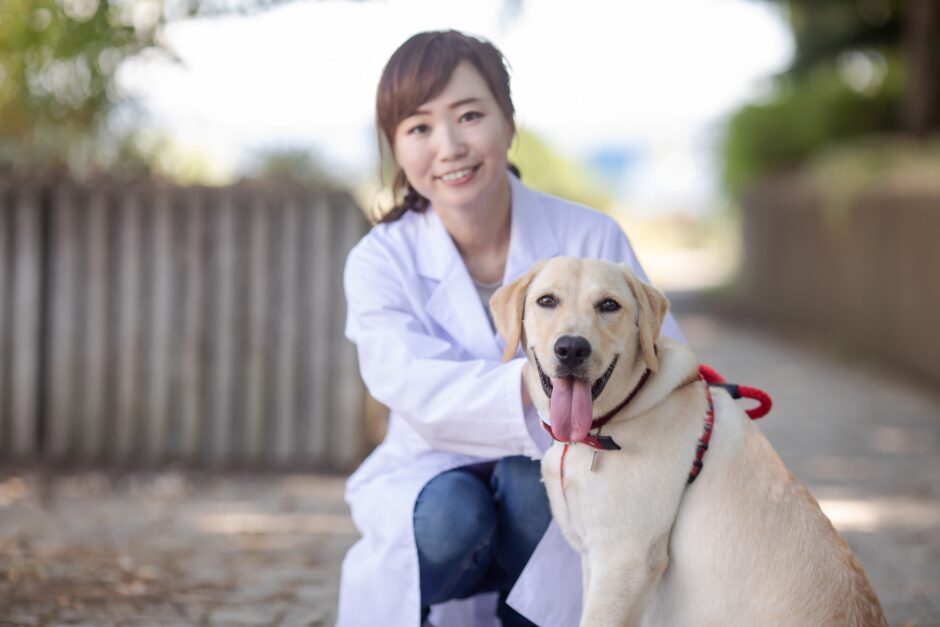 動物病院での延命治療｜判断基準や看取りの考え方、終末期緩和ケアの特徴も解説