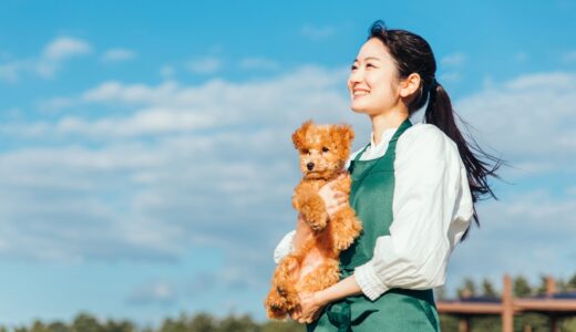 脱感作とは？しつけ教室で学べるトレーニング方法と効果、実践のポイントを解説