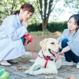 犬の慢性腎臓病のステージ｜症状や治療法、予防方法について詳しく解説