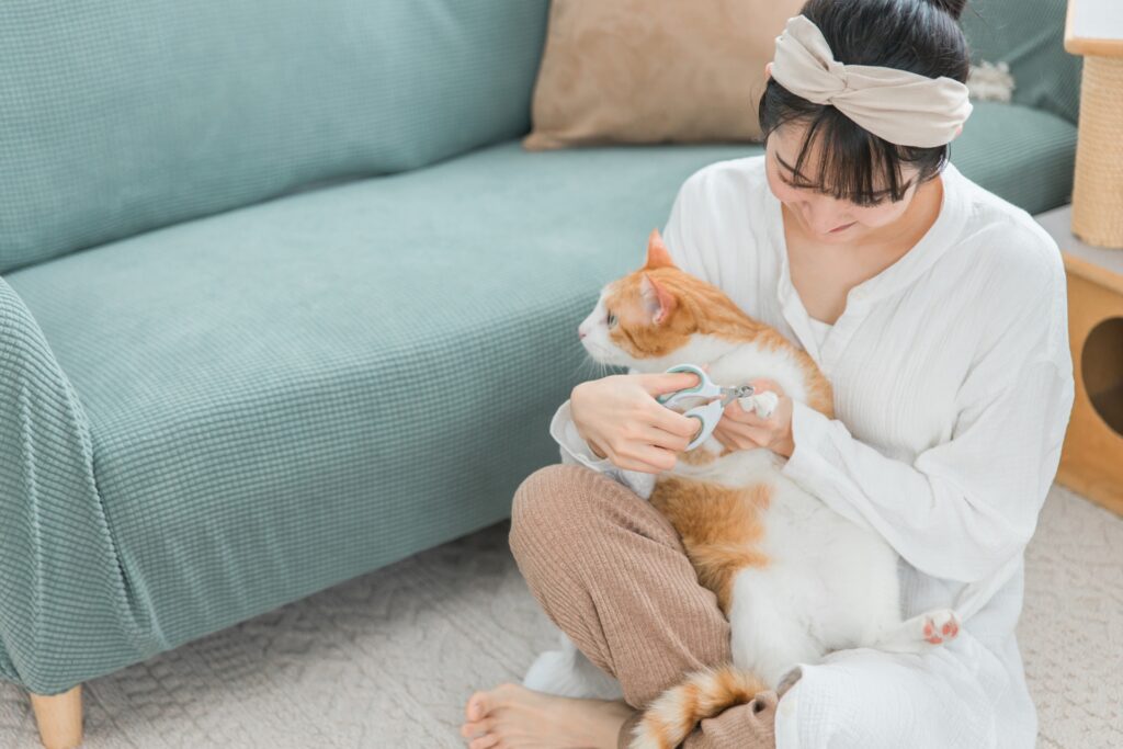 自宅でのケア方法