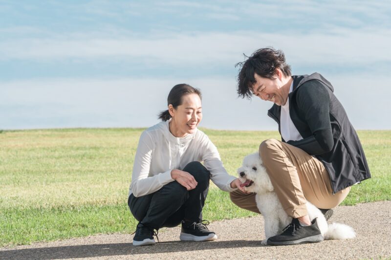 散歩する犬