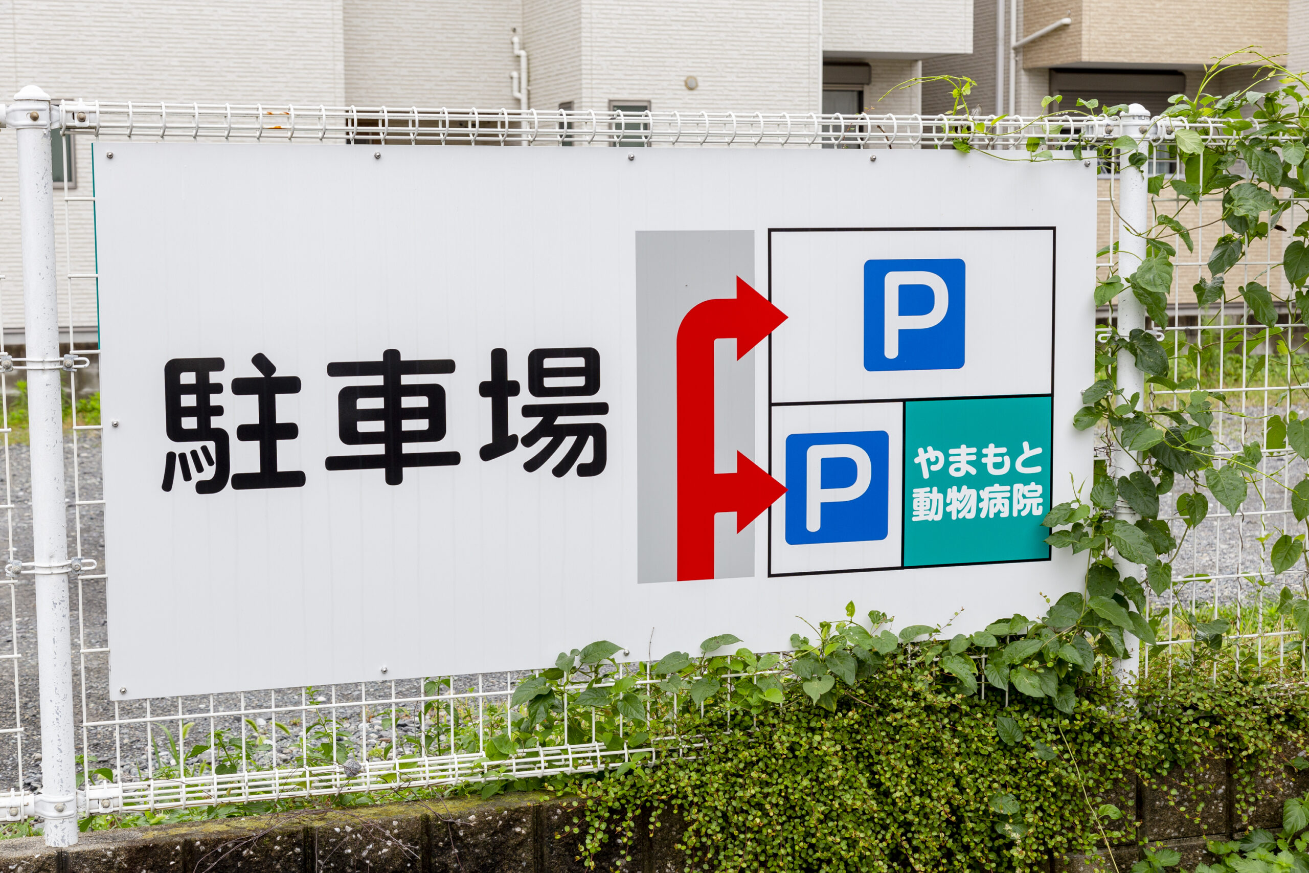 やまもと動物病院photo
