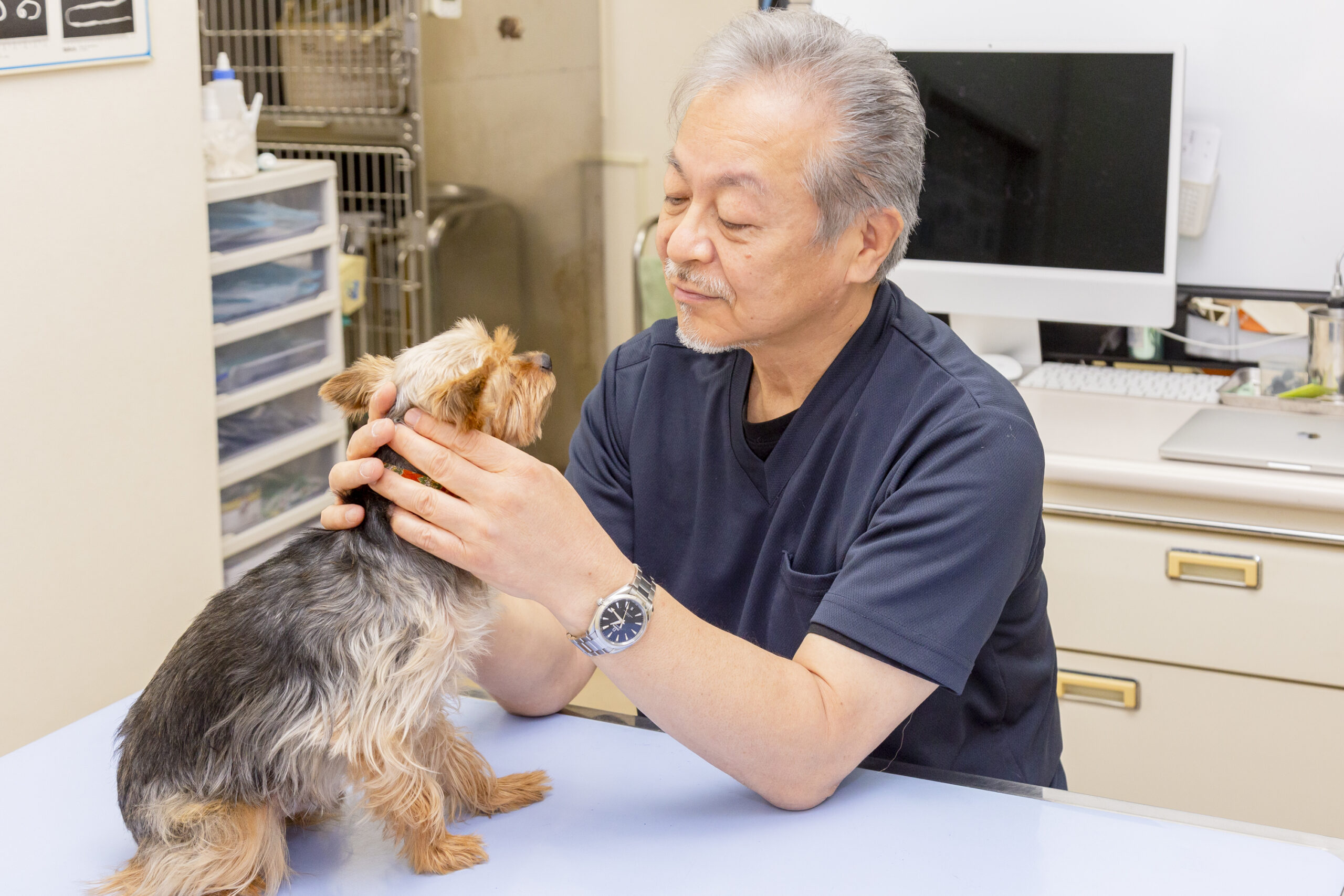 やまもと動物病院photo
