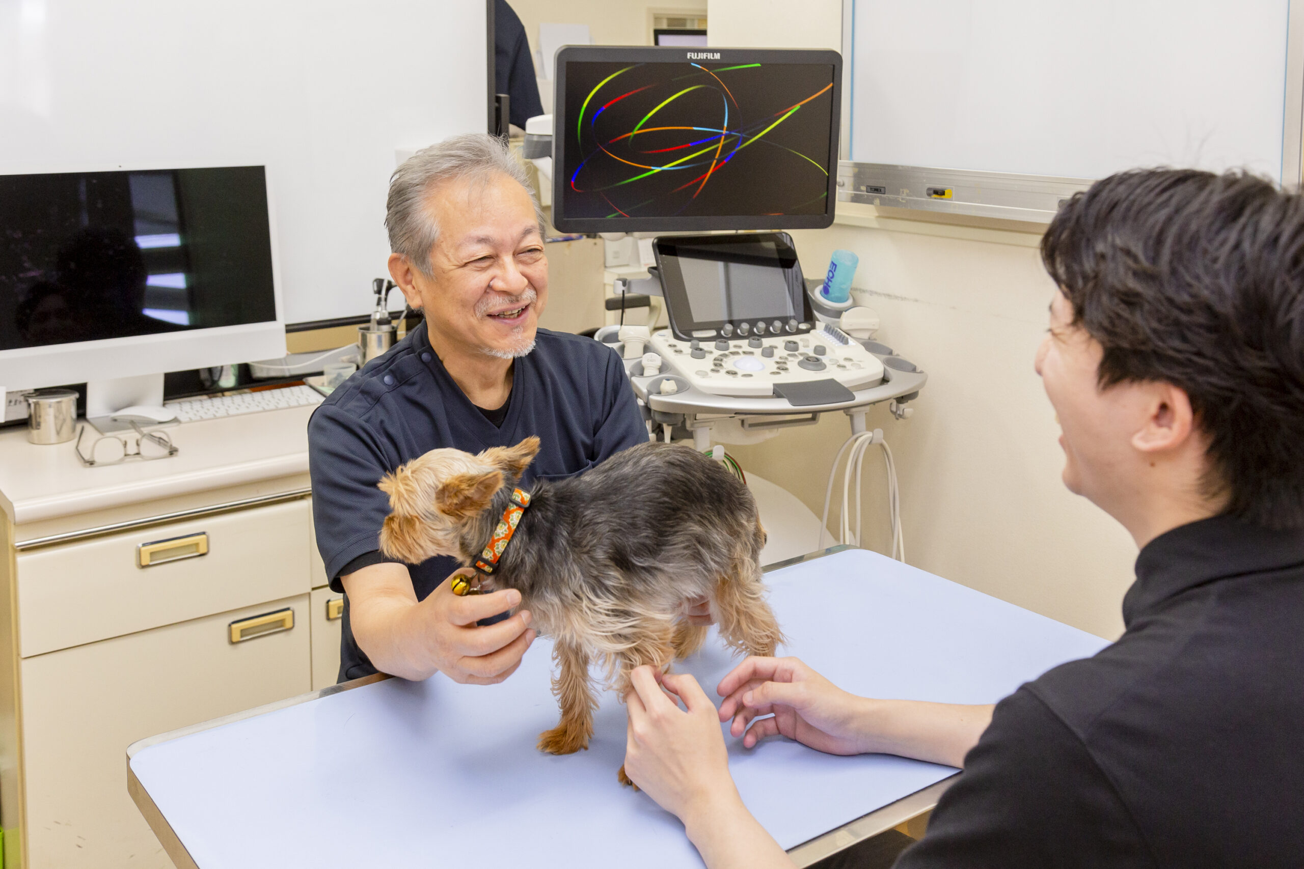 やまもと動物病院photo