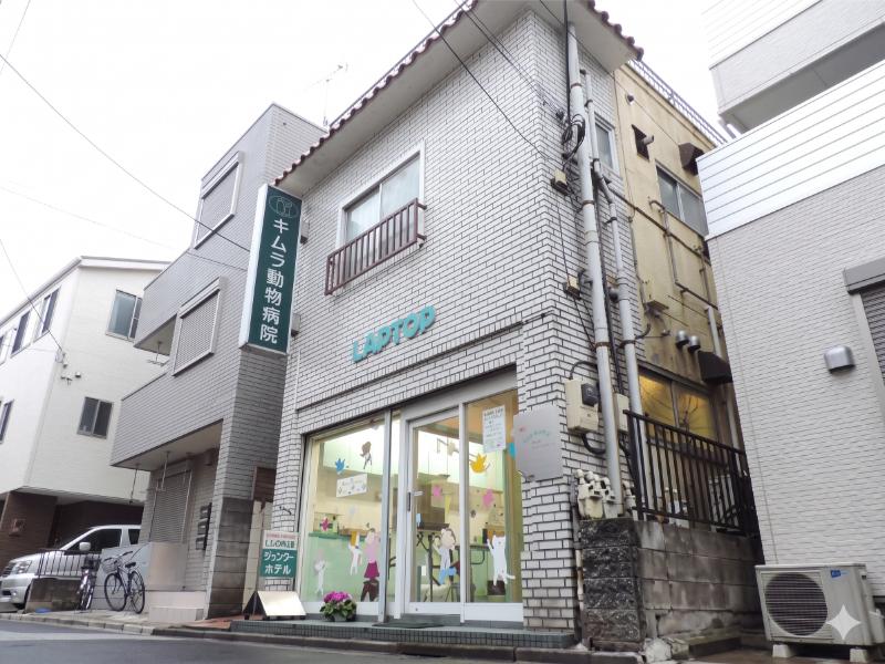 キムラ動物病院