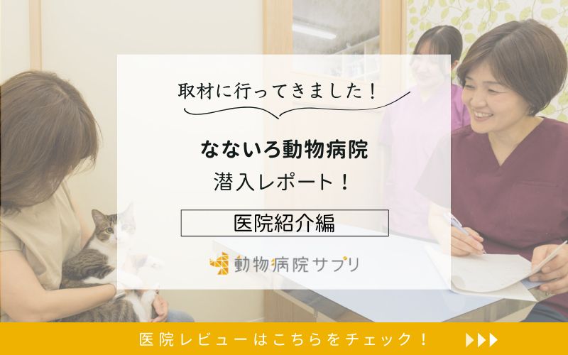 なないろ動物病院