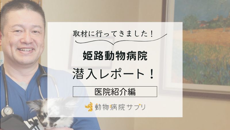 姫路動物病院photo