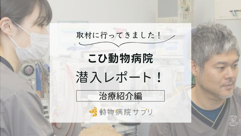こひ動物病院photo
