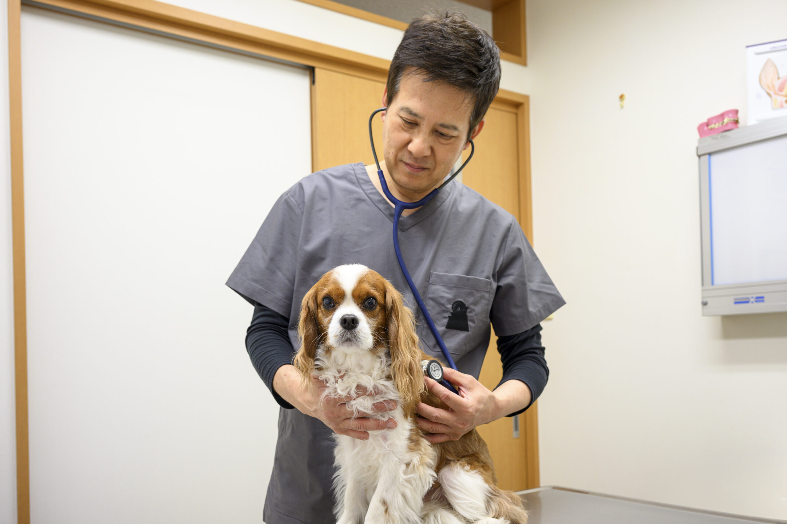 やまだ動物病院photo