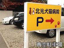 北光犬猫病院photo