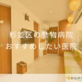 【2026年】杉並区の動物病院 おすすめしたい5医院