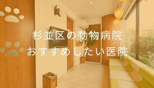 【2026年】杉並区の動物病院 おすすめしたい5医院
