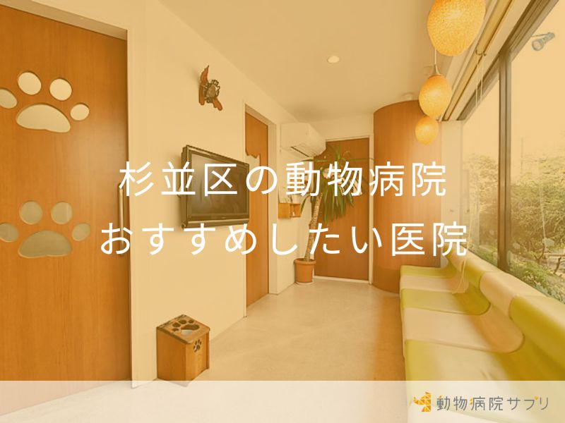 杉並区の動物病院 おすすめしたい医院