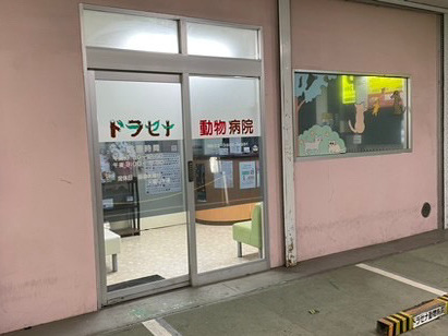 ドラセナ動物病院