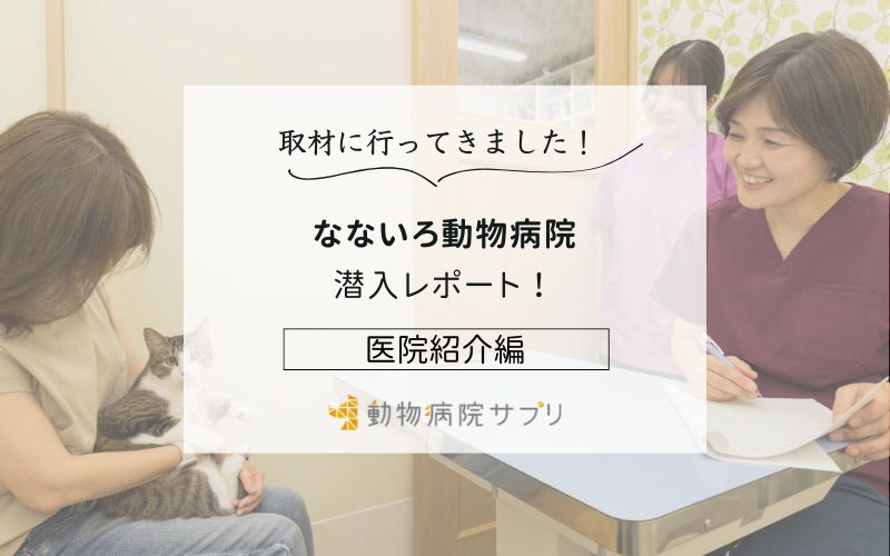 なないろ動物病院photo