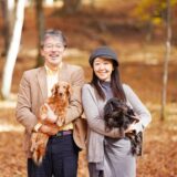 シニア犬対応のトリミングサロン選びのポイントは？注意点なども解説！