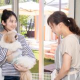 ペットホテルで体調不良になったら？対応内容や預ける前の確認ポイントを解説
