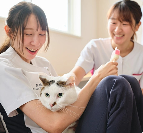 ノア動物病院photo
