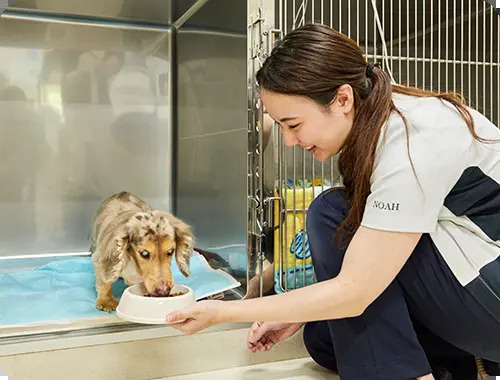 ノア動物病院photo