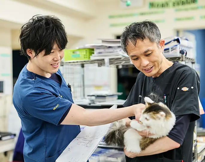 ノア動物病院photo