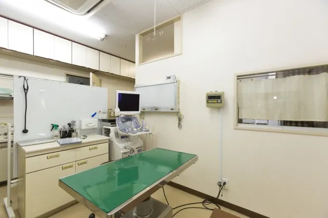 やまもと動物病院photo