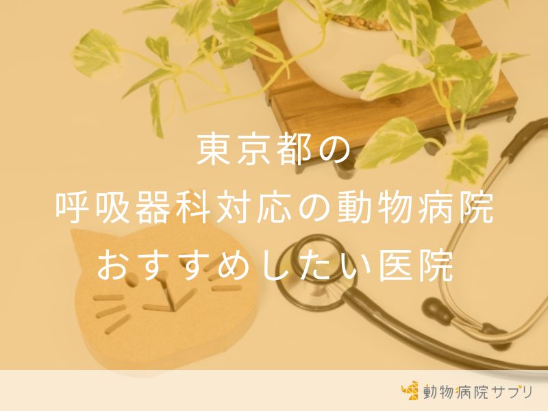 東京都の呼吸器科対応の動物病院おすすめしたい医院