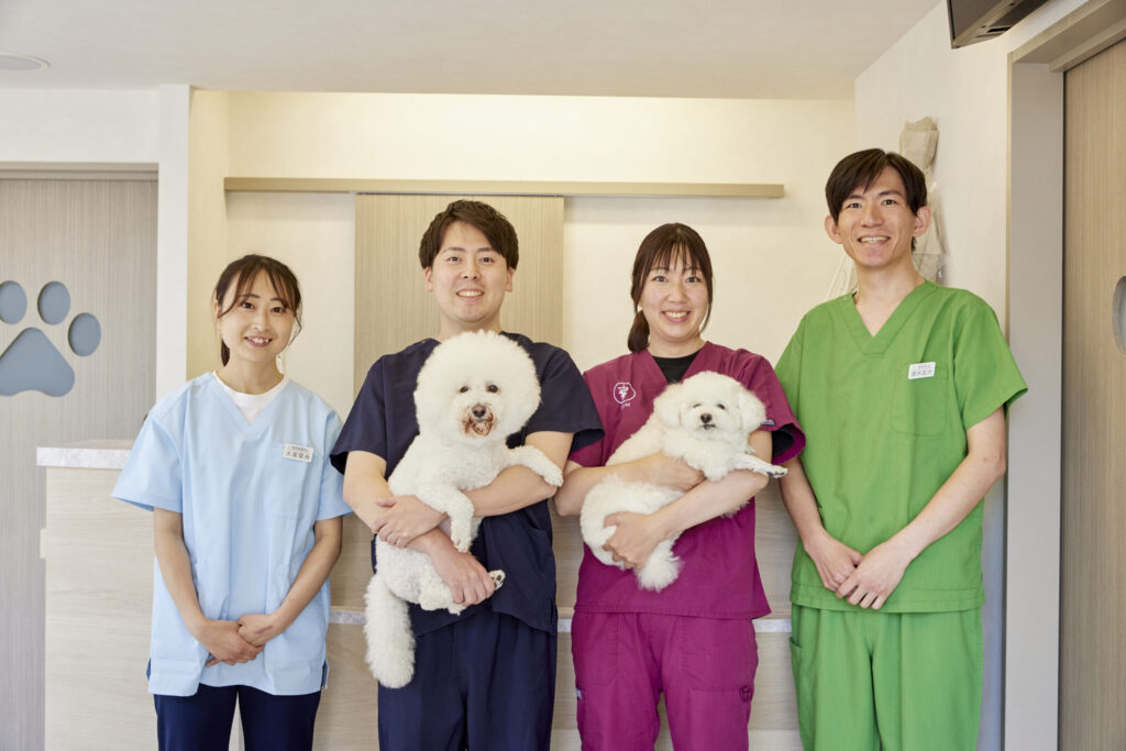 横浜上永谷あお動物病院