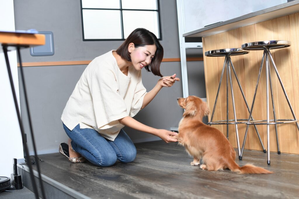 苦手な刺激への感情を変える拮抗条件付けトレーニング
