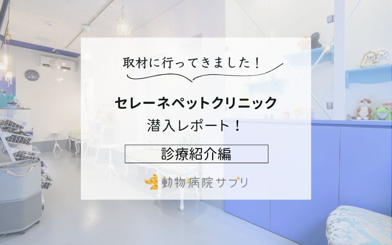 セレーネペットクリニックphoto