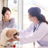 動物病院で行う遺伝子検査とは？特徴やメリット、注意点も解説