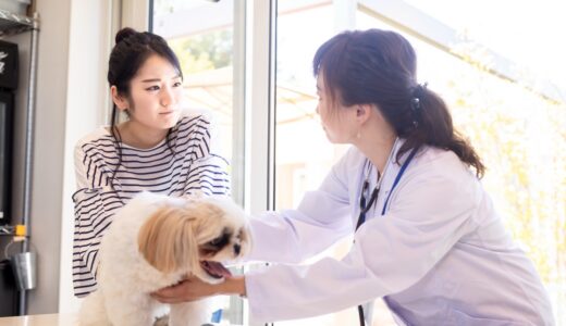 動物病院で行う遺伝子検査とは？特徴やメリット、注意点も解説