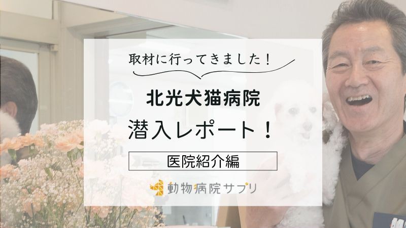 北光犬猫病院photo
