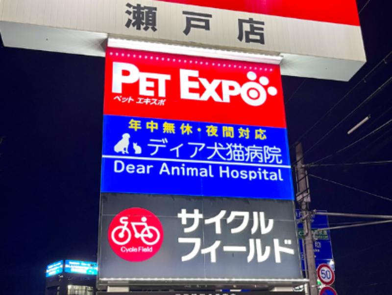 ディア犬猫病院