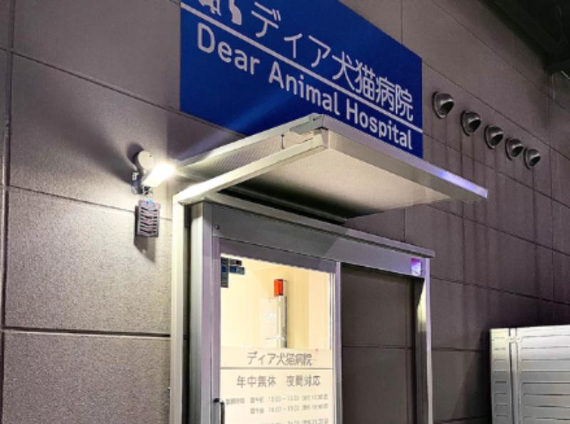 ディア犬猫病院
