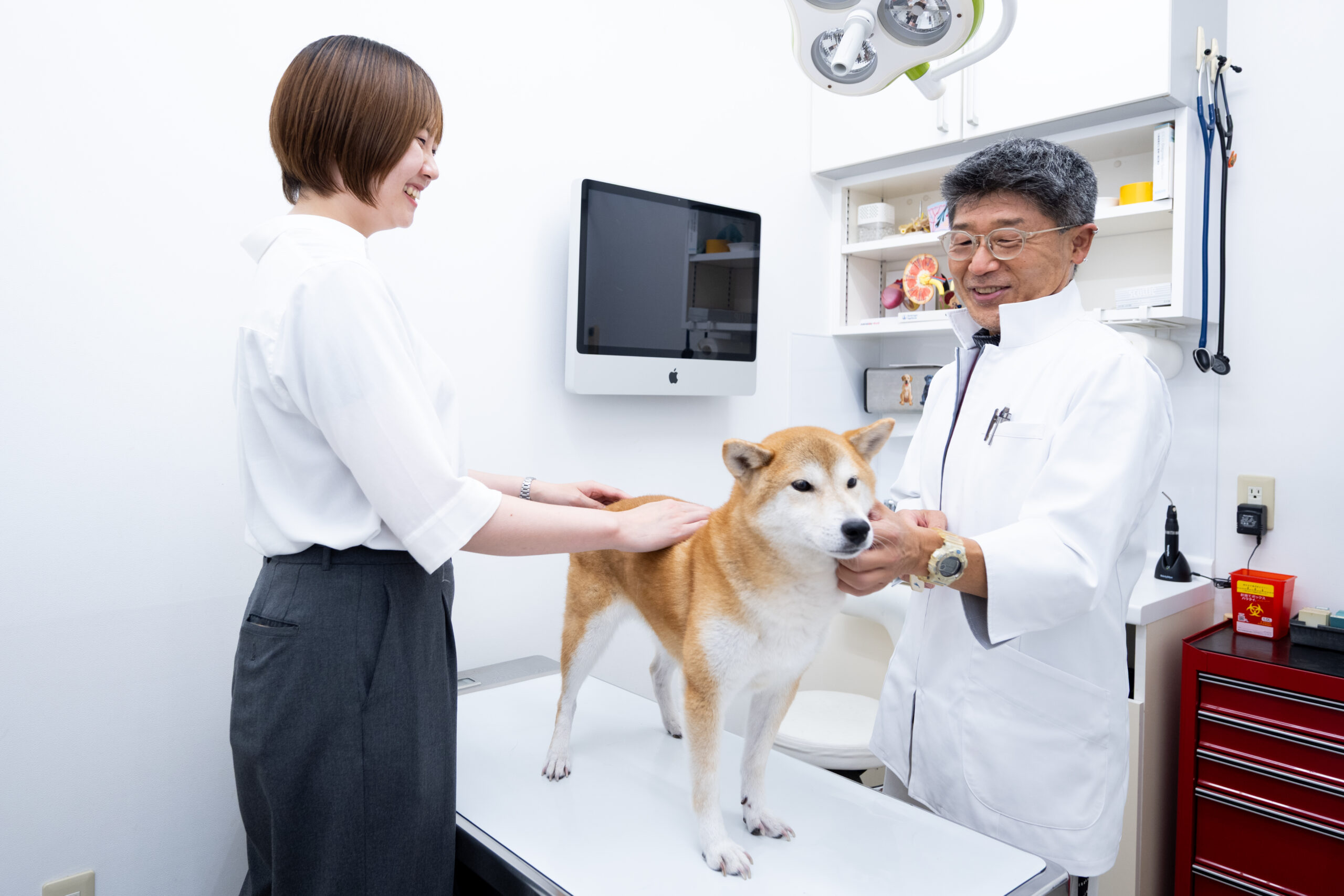 よしいけ動物病院photo
