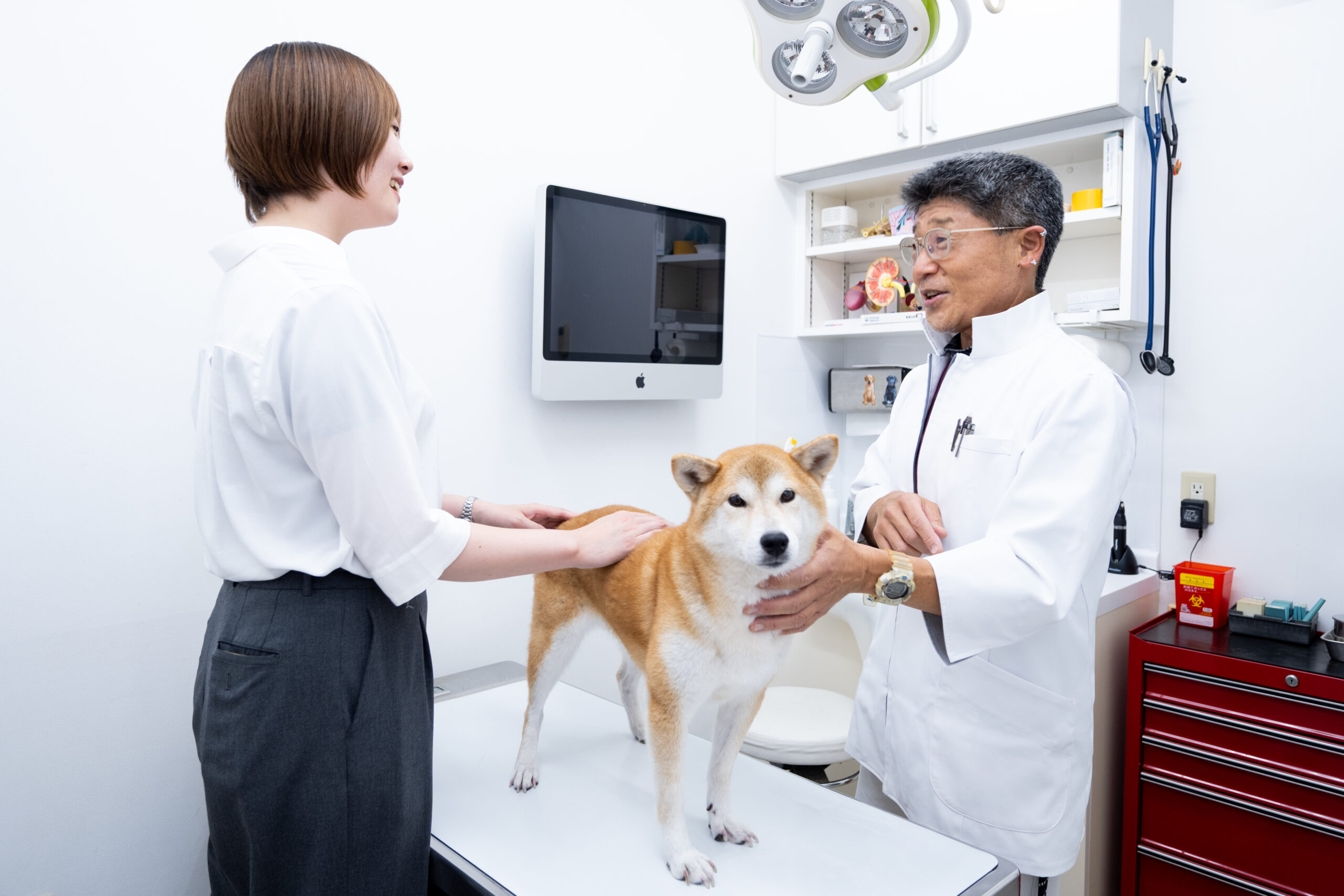 よしいけ動物病院photo