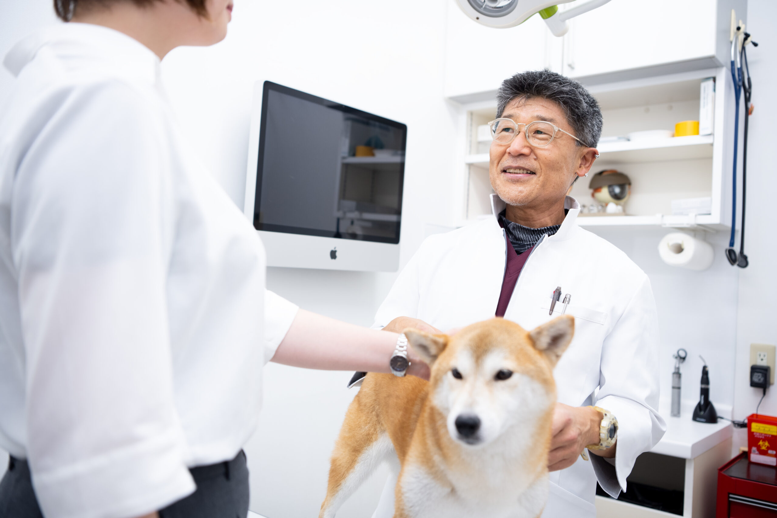 よしいけ動物病院photo