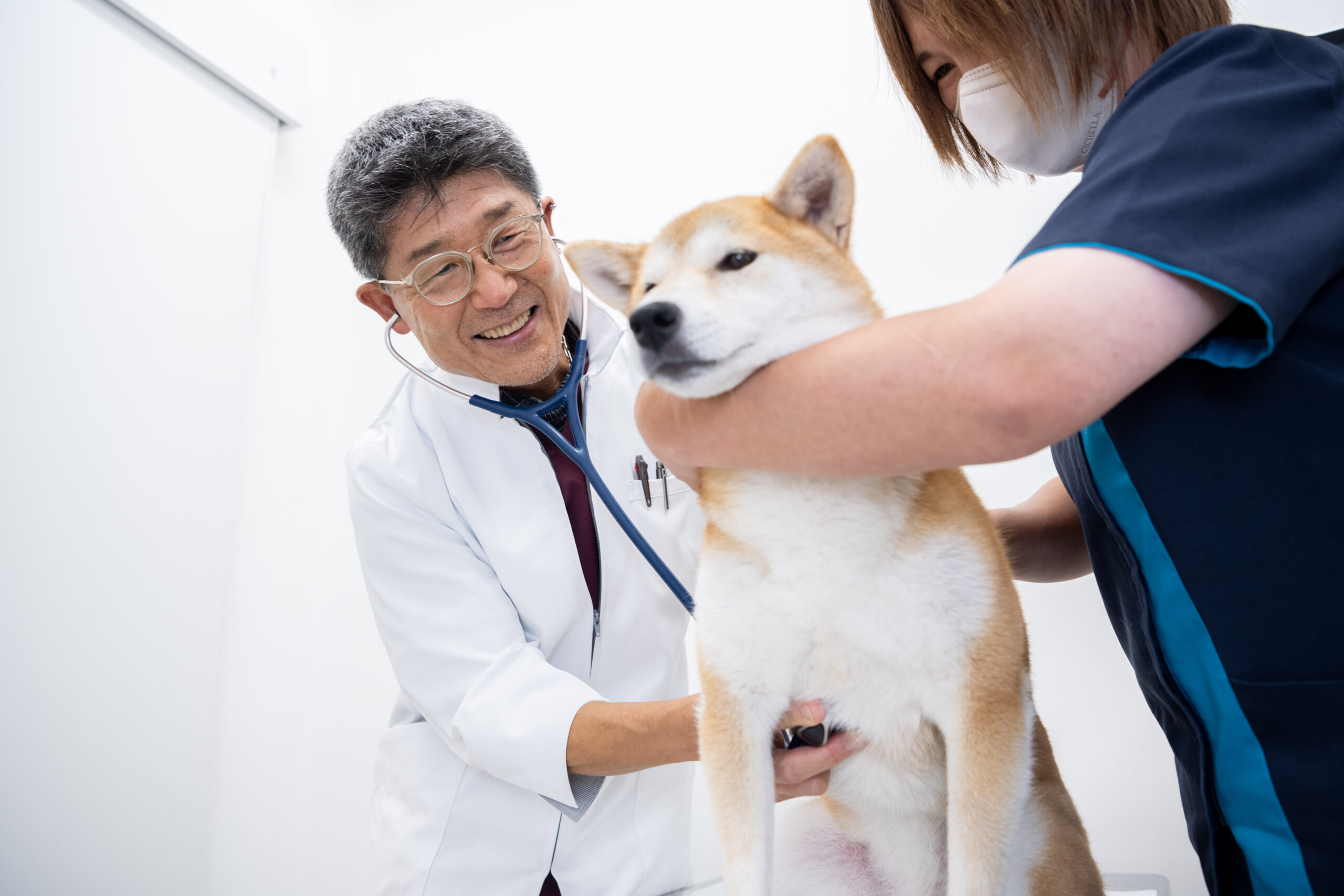 よしいけ動物病院photo
