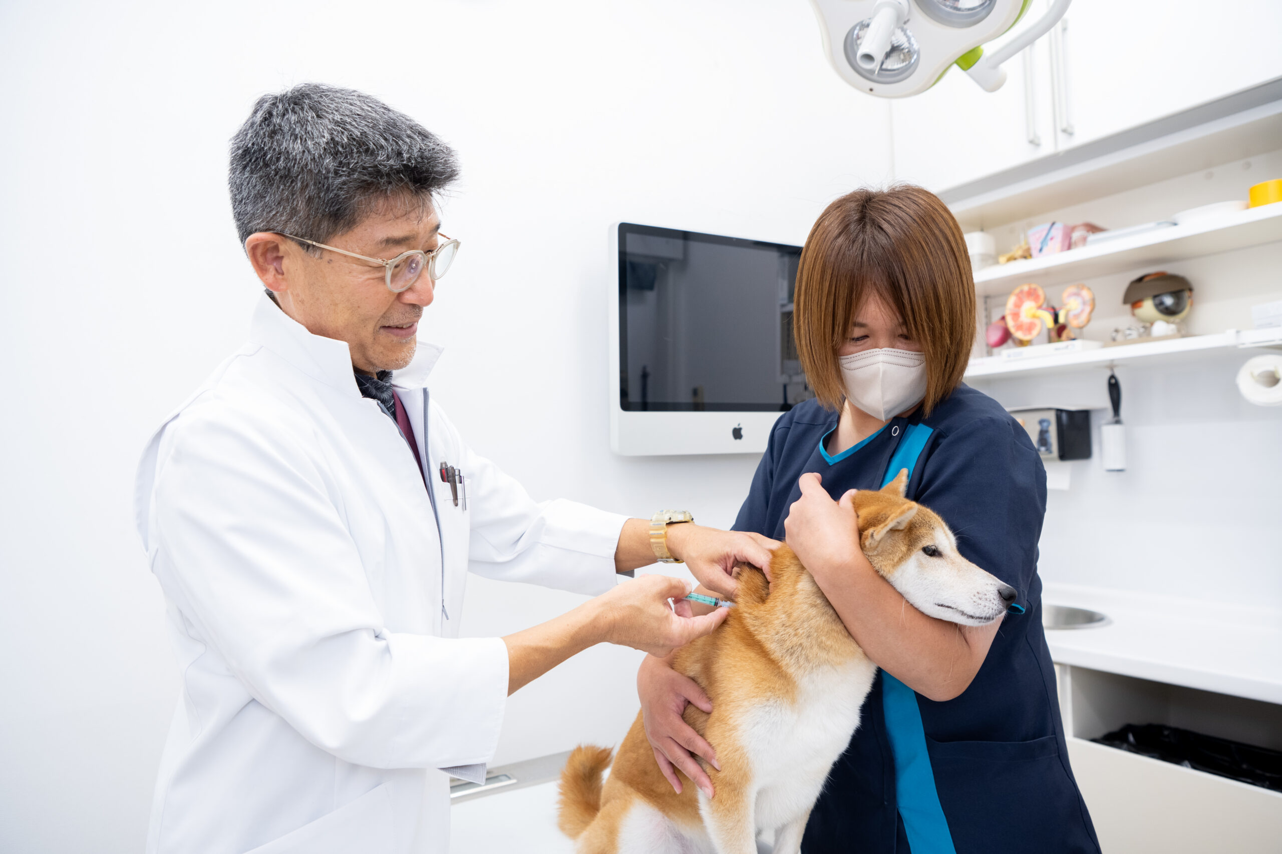 よしいけ動物病院photo