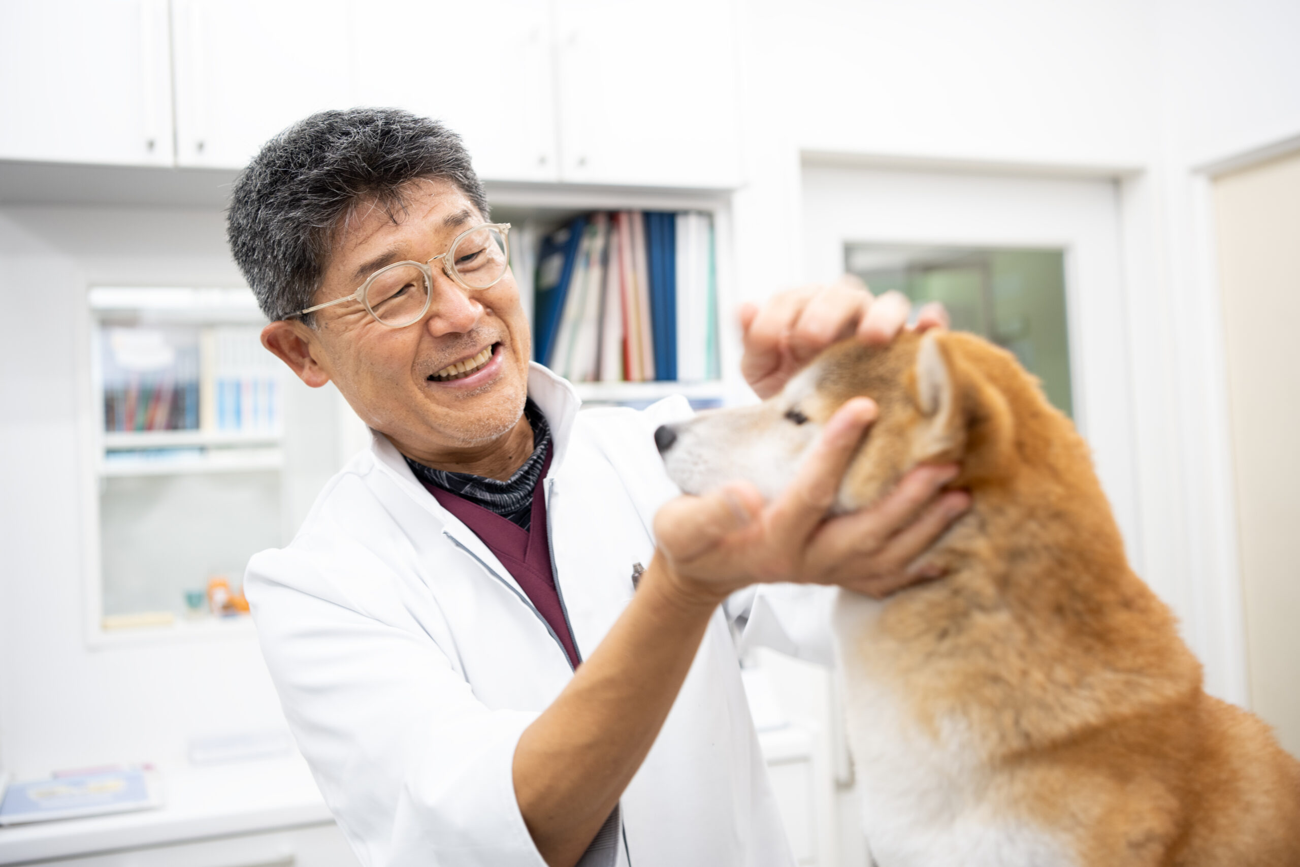よしいけ動物病院photo