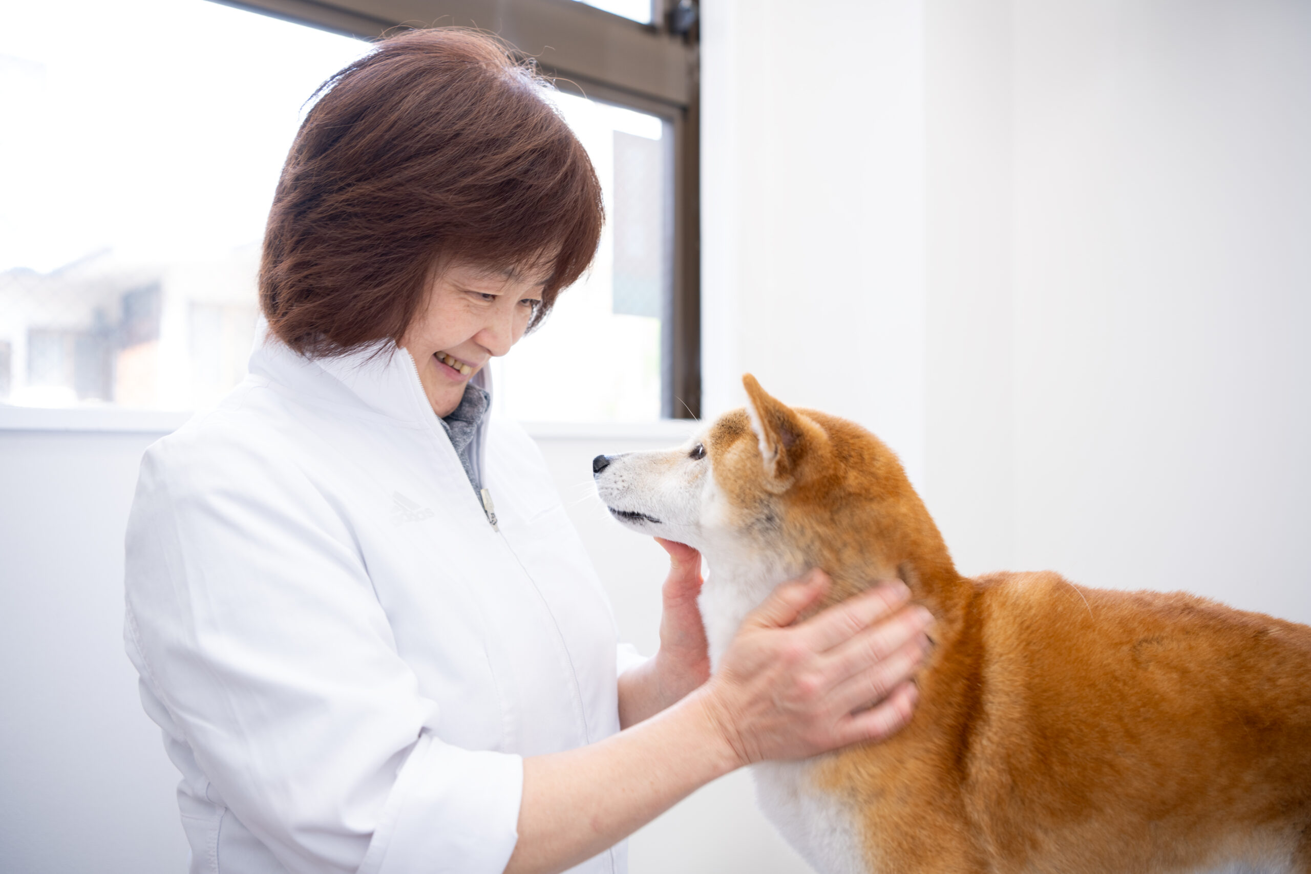 よしいけ動物病院photo