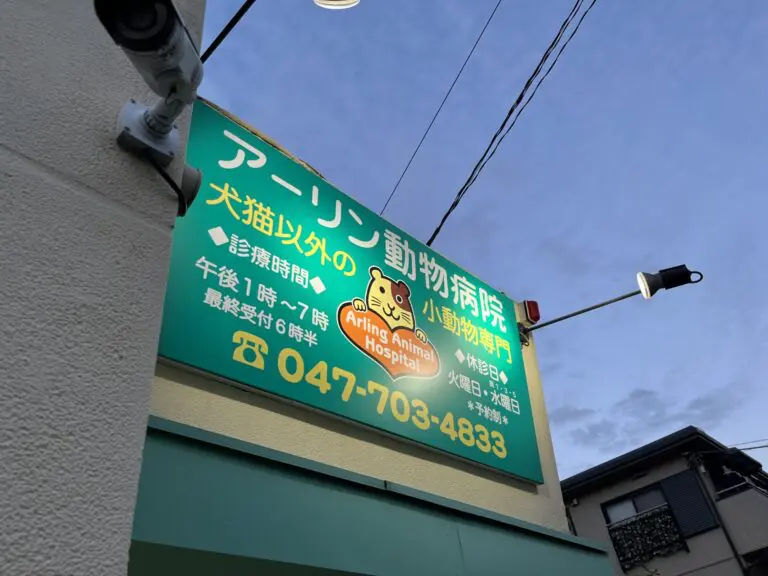 アーリン動物病院